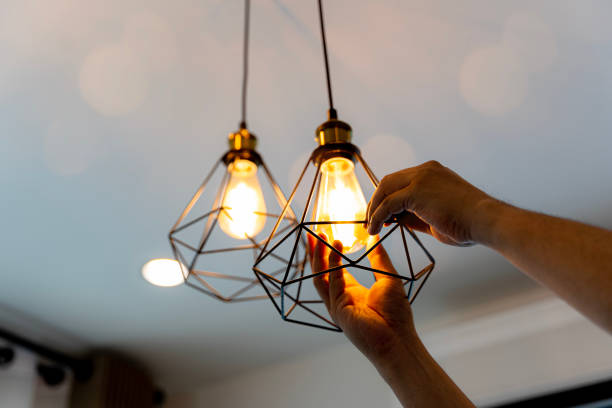 Best Local Electrician Companies  in Roosevelt, NJ